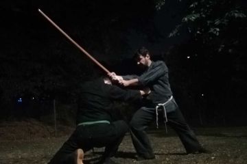 Ninjutsu - Temešvár 3